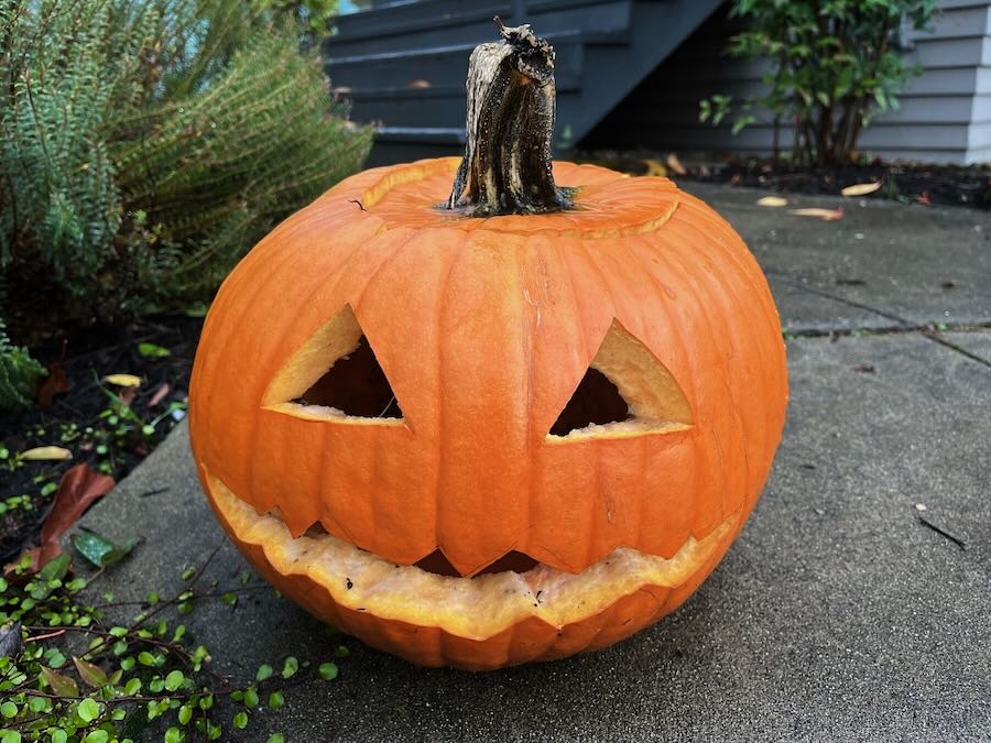 Jack-o-lantern encountered during Madrona stroll