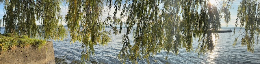 Panorama at my favourite spot on Madrona Park Beach