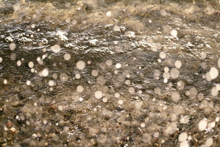 Lake Washington wave spray at Madrona Park Beach