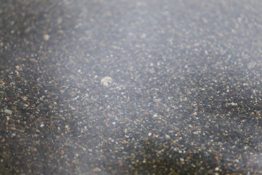 Reflection and refraction on a pebble beach on Lake Washington