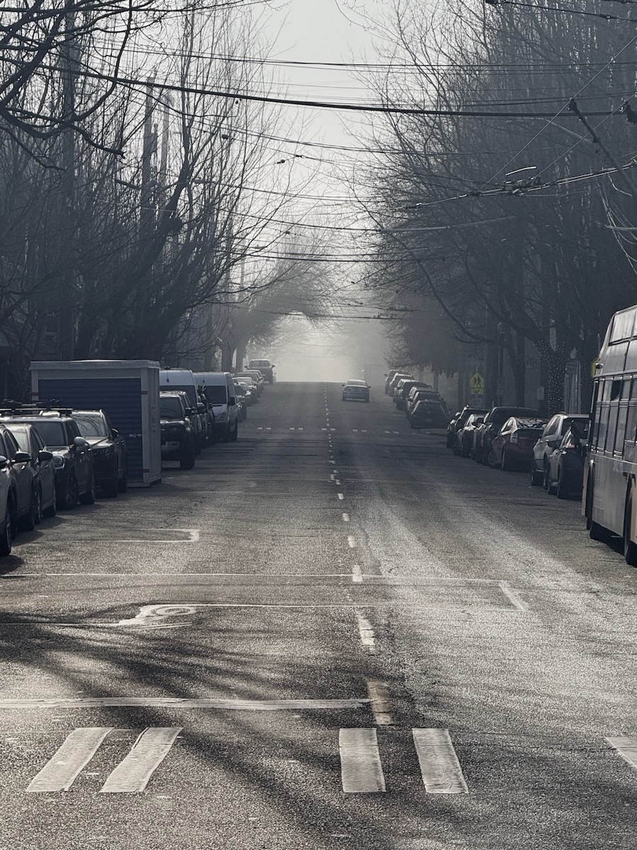 Mist encroaching into Madrona