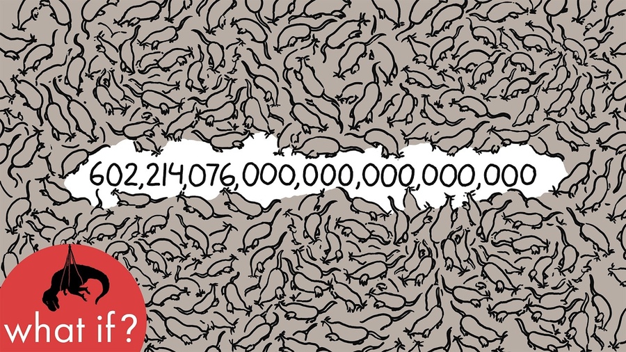What if you had a mole of moles? - xkcd’s What If?
